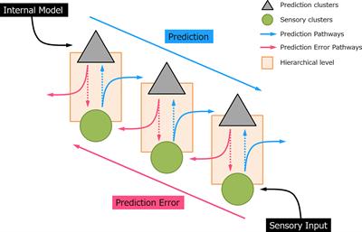 Auditory Mismatch Negativity Under Predictive Coding Framework and Its Role in Psychotic Disorders